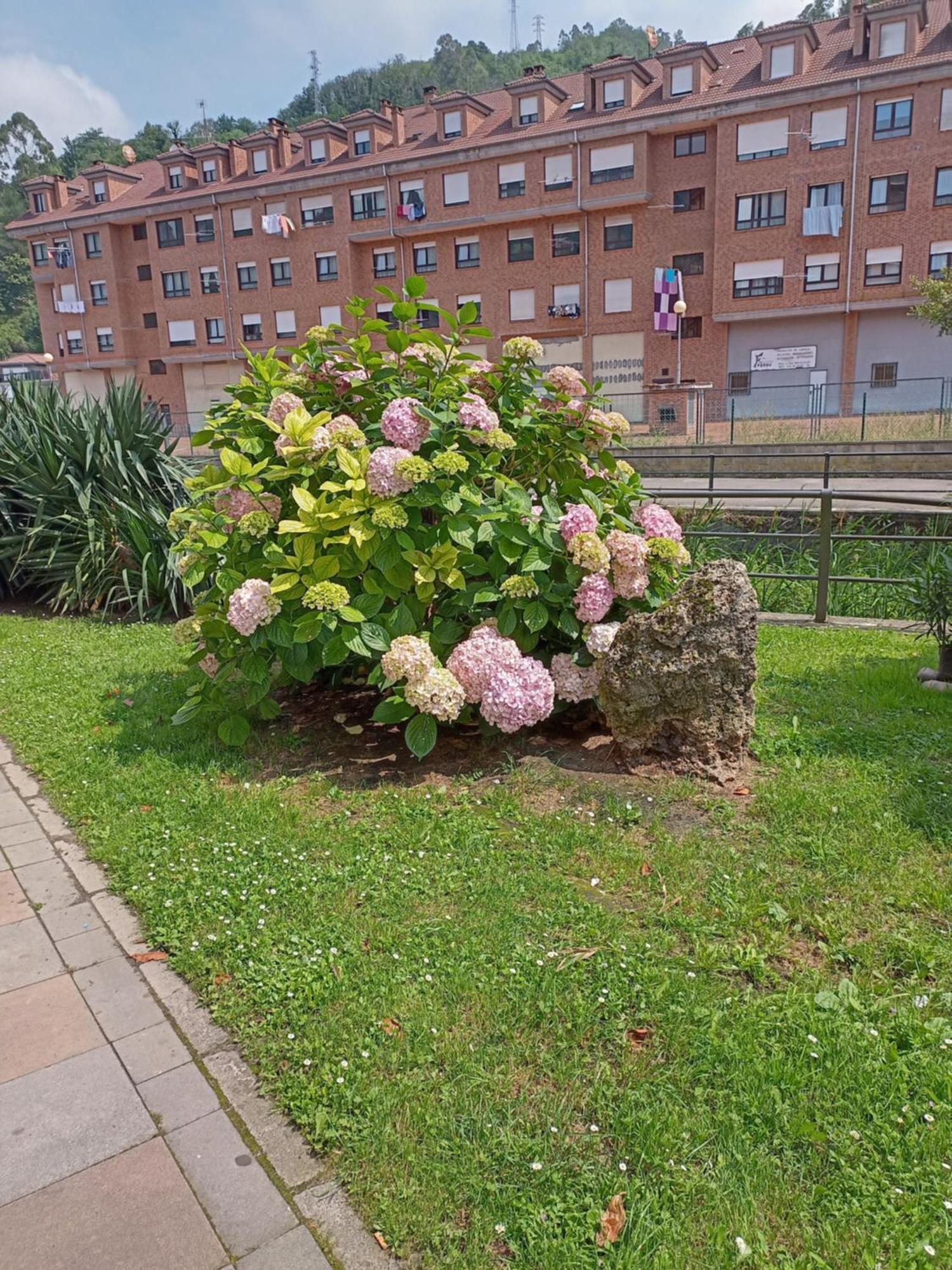 El Refugio De Noa Apartment Mieres  Exterior photo